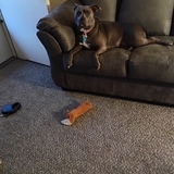 Entry image for Miss Sallie 