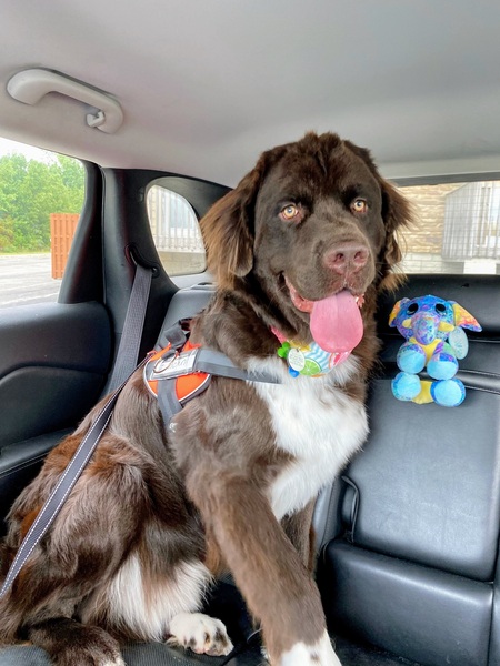 Entry image for Duncan. Clicking this image will show a larger photo