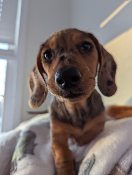 Entry image for Milton . Clicking this image will show a larger photo