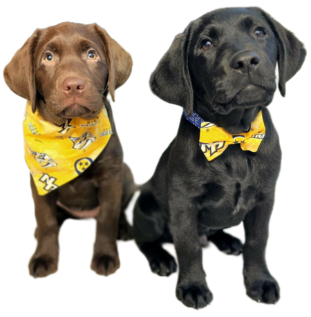 Entry image for Jury & Judge. Clicking this image will show a larger photo