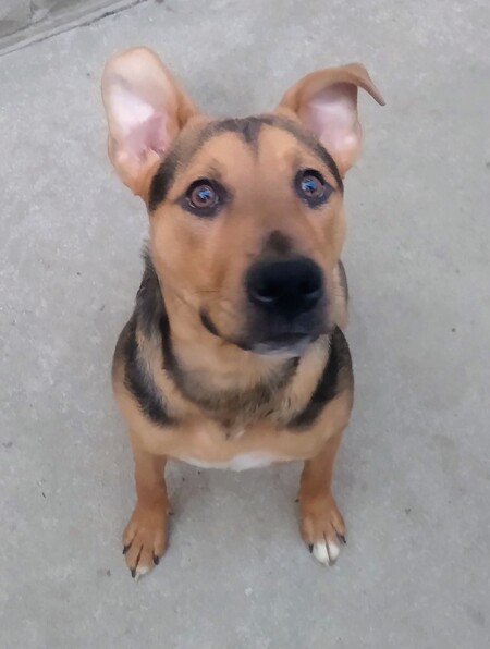 Entry image for Sumi. Clicking this image will show a larger photo