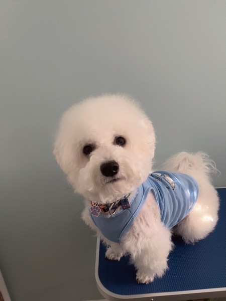 Entry image for April. Clicking this image will show a larger photo