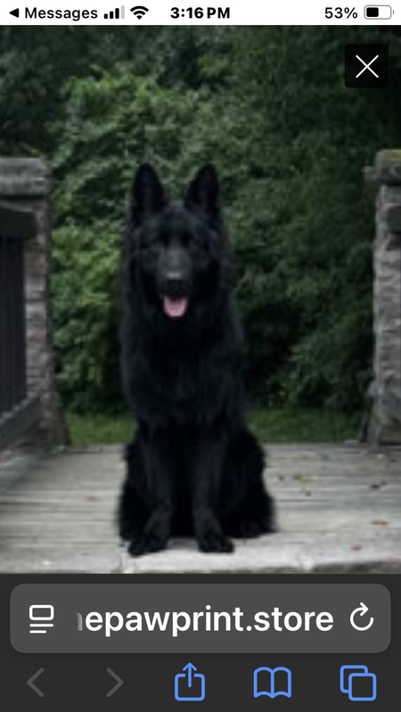 Entry image for Void. Clicking this image will show a larger photo