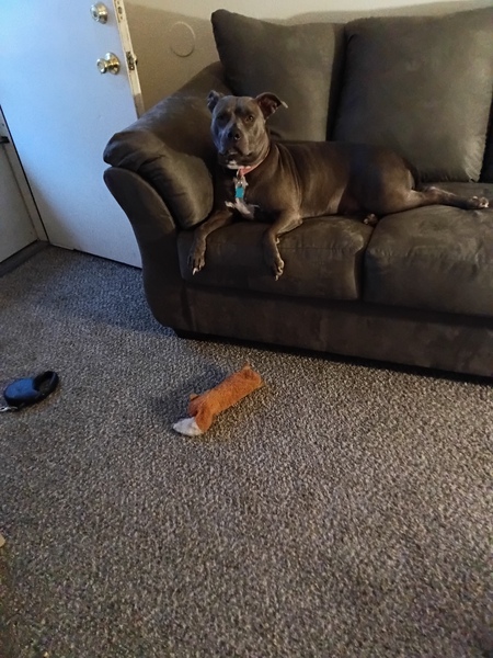 Entry image for Miss Sallie . Clicking this image will show a larger photo