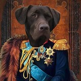 Entry image for Moby aka "Mr. Handsome Man"