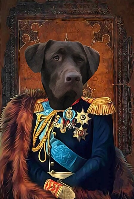 Entry image for Moby aka "Mr. Handsome Man". Clicking this image will show a larger photo
