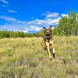 Entry image for Tallulah