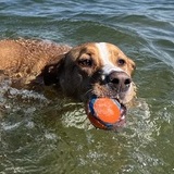 Entry image for Luke