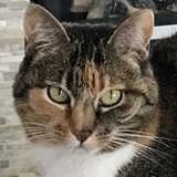 Entry image for Lucy Jane