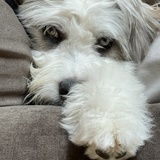 Entry image for Eilean Marie Williams