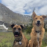 Entry image for Denali and McKinley 