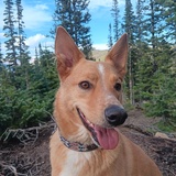 Entry image for Poblano!