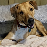 Entry image for Keeper