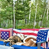 Entry image for Tallulah and Rudy