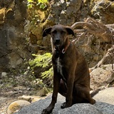 Entry image for George Bailey 