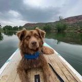 Entry image for Millie 