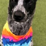 Entry image for Finley