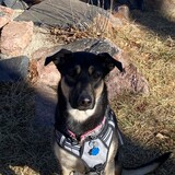 Entry image for Cara