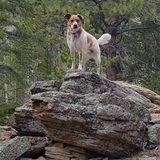 Entry image for Ruby