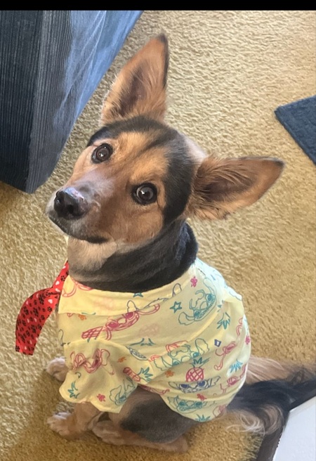 Entry image for Echo . Clicking this image will show a larger photo