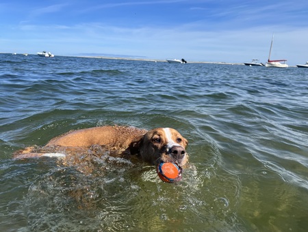 Entry image for Luke. Clicking this image will show a larger photo