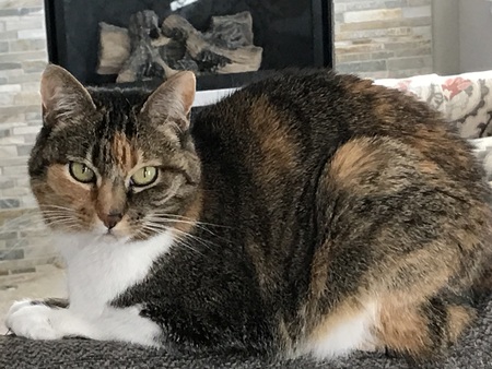 Entry image for Lucy Jane. Clicking this image will show a larger photo