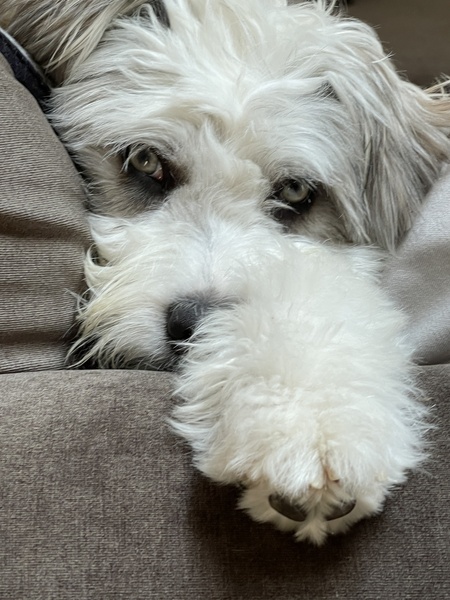 Entry image for Eilean Marie Williams. Clicking this image will show a larger photo