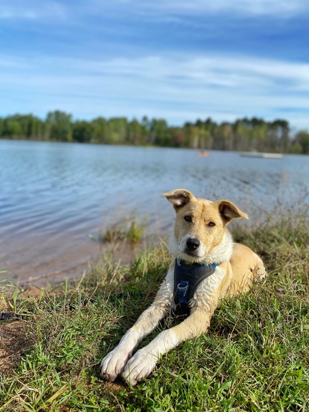 Entry image for Ada. Clicking this image will show a larger photo