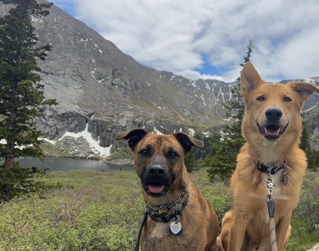 Entry image for Denali and McKinley . Clicking this image will show a larger photo