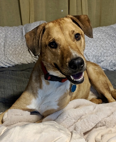 Entry image for Keeper. Clicking this image will show a larger photo