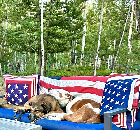 Entry image for Tallulah and Rudy. Clicking this image will show a larger photo