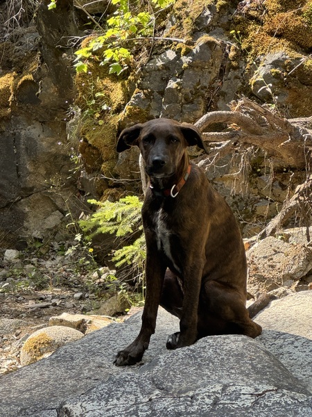 Entry image for George Bailey . Clicking this image will show a larger photo