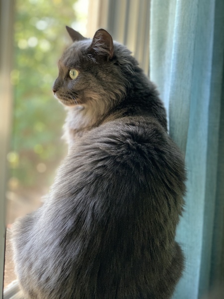 Entry image for Ankheel . Clicking this image will show a larger photo