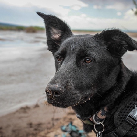 Entry image for Brynna. Clicking this image will show a larger photo