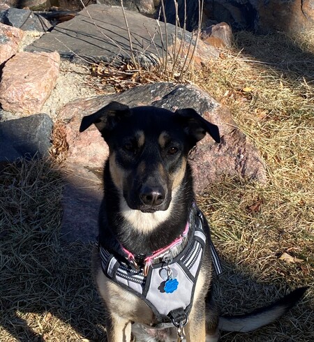 Entry image for Cara. Clicking this image will show a larger photo