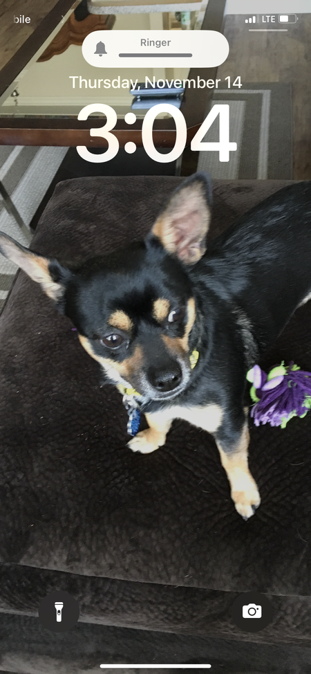 Entry image for Clauson . Clicking this image will show a larger photo