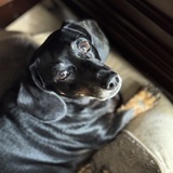 Entry image for Hope