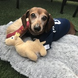 Entry image for Cleo