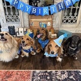 Entry image for Jasper, Cobalt, Onyx, Geode, Hazel