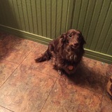 Entry image for Yaeger