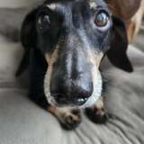 Entry image for Rocky 