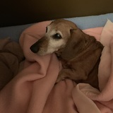 Entry image for Kobe