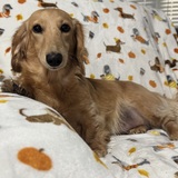 Entry image for Rosie 