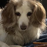 Entry image for Angel