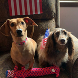 Entry image for Hazel and Hershey 