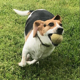 Entry image for Haven