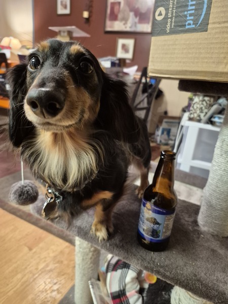 Entry image for Buddy. Clicking this image will show a larger photo