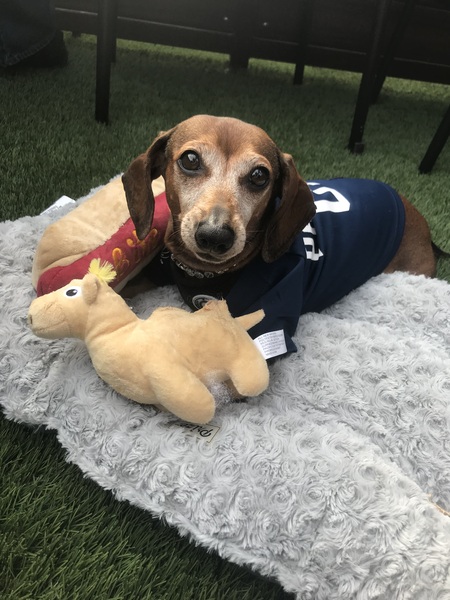 Entry image for Cleo. Clicking this image will show a larger photo