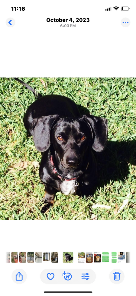 Entry image for Juju Kennon. Clicking this image will show a larger photo