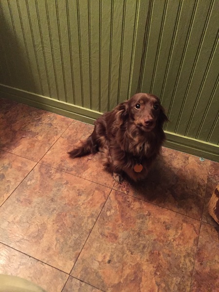 Entry image for Yaeger. Clicking this image will show a larger photo